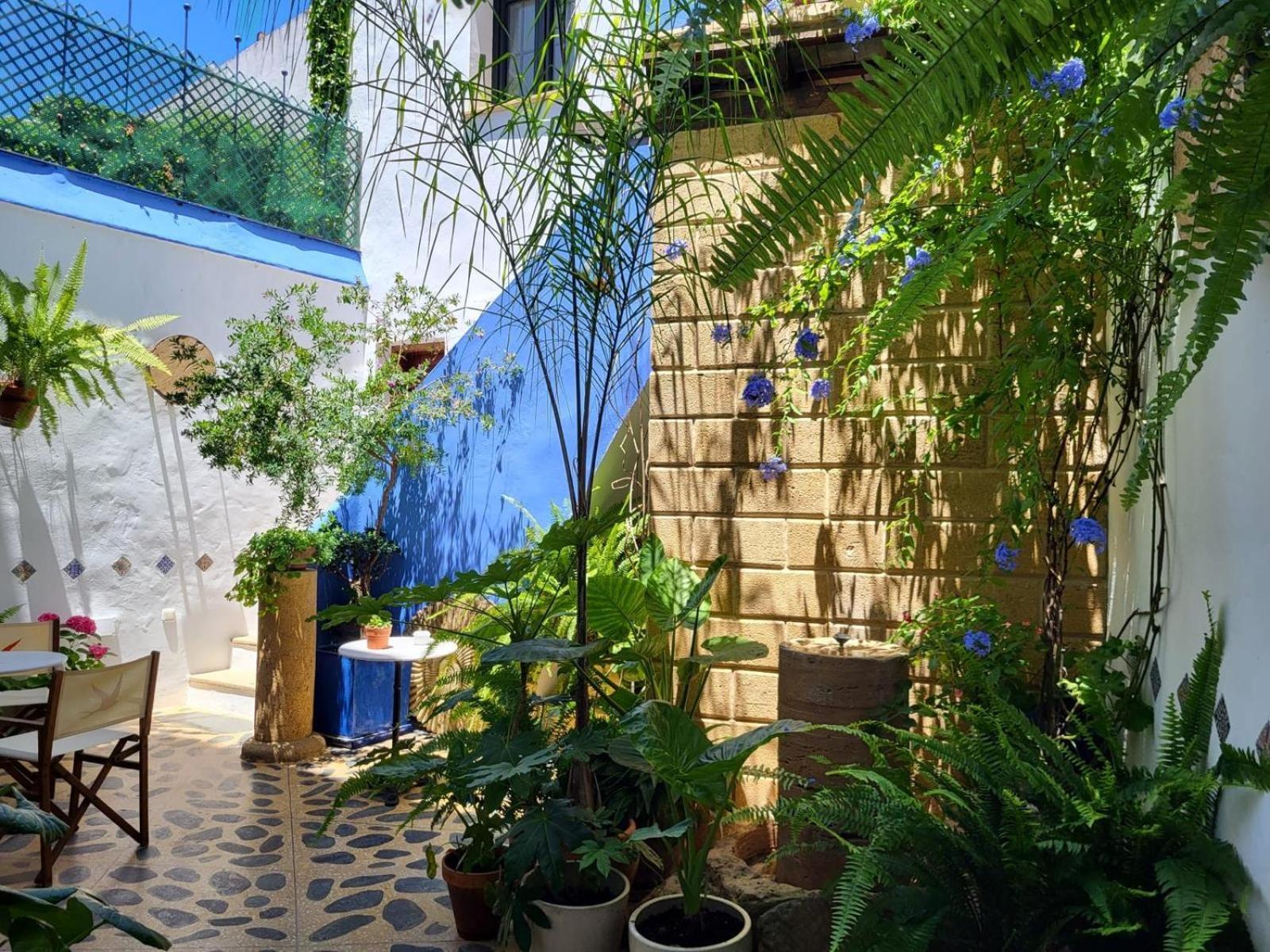 Hostal Casa Alborada Conil De La Frontera Luaran gambar